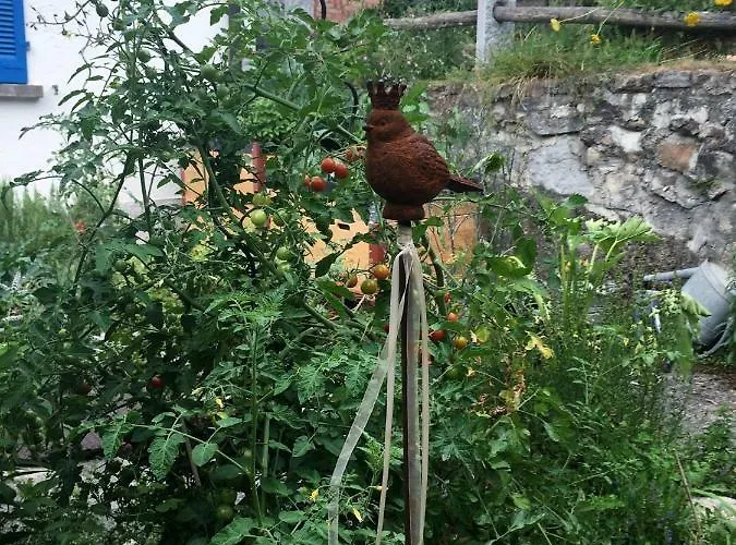Apartamento Ca' Dogana Vegia